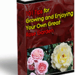 101 Tips For Growing and Enjoying Your Own Great Rose Garden