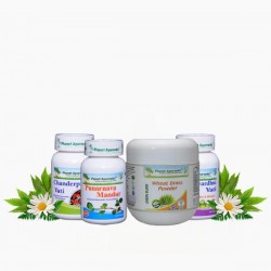 Planet Ayurveda ANEMIA CARE PACK
